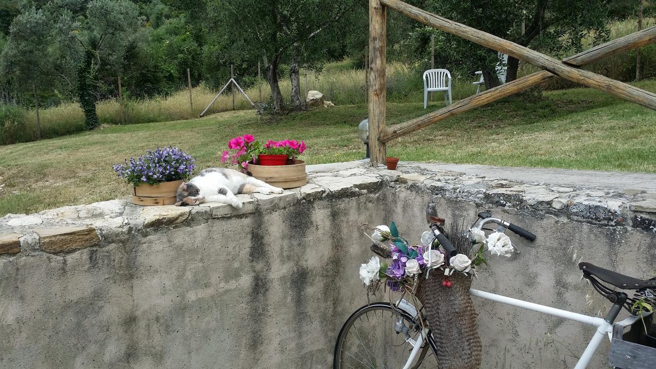 托里迪佛罗伦萨住宿加早餐旅馆 菲耶索莱 外观 照片